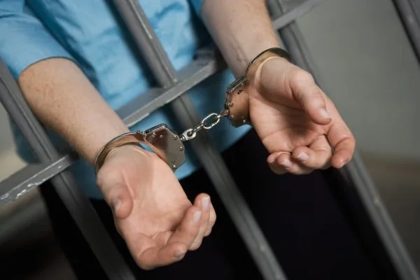 Запорожский суд отправил живодера за решетку